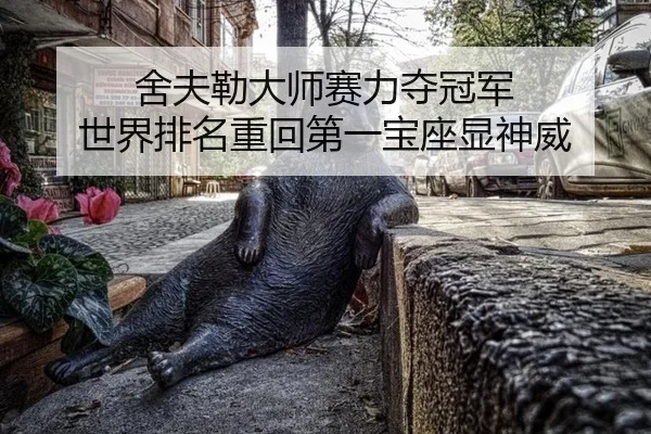 she-fu-lei-da-shi-sai-li-duo-guan-jun-shi-jie-pai-ming-zhong-hui-di-yi-bao-zuo-xian-shen-wei-2-564.jpg