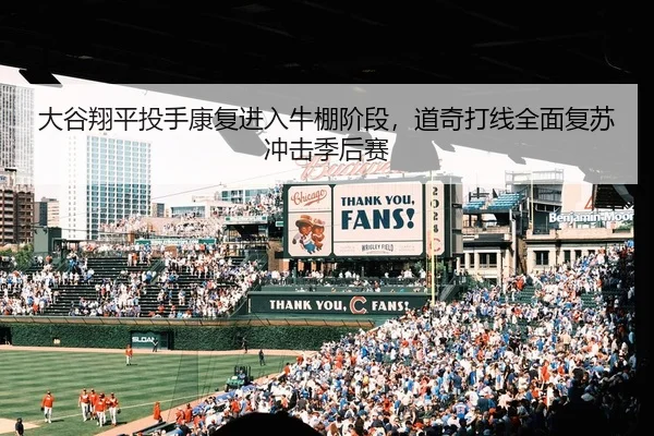 大谷翔平投手康复进入牛棚阶段，道奇打线全面复苏冲击季后赛